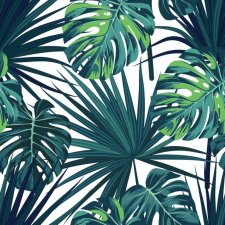 Фотообои Тропический фон пальмы и монстеры листья