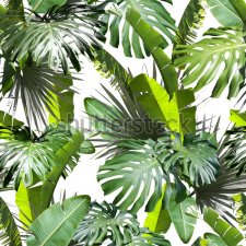 Фотообои Зеленые экзотические растения Натуральные листья пальмы, бананы, монстеры