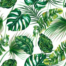 Фотообои Тропических пальмовых листьев монстера летний фон