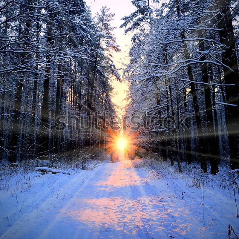 Картинка Зима Природа Фото