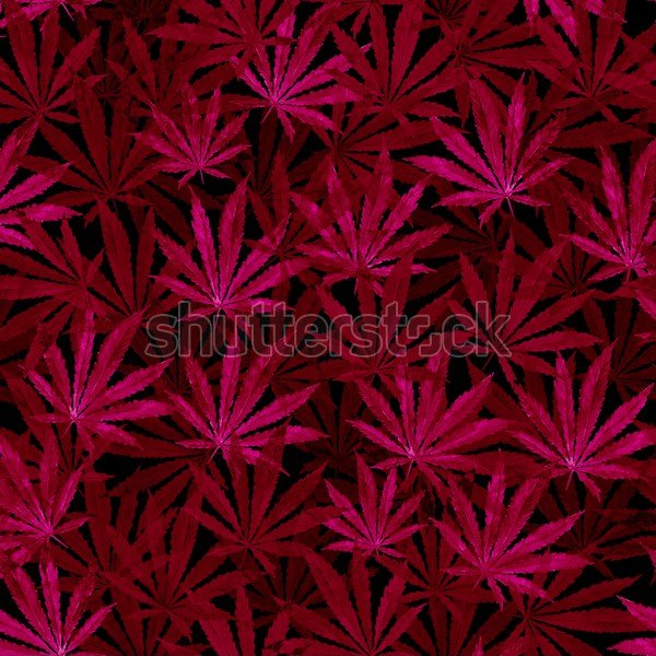 Красные листья марихуаны сколько конопли в спичечном коробке