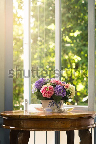 Красивые Цветы На Окне Фото