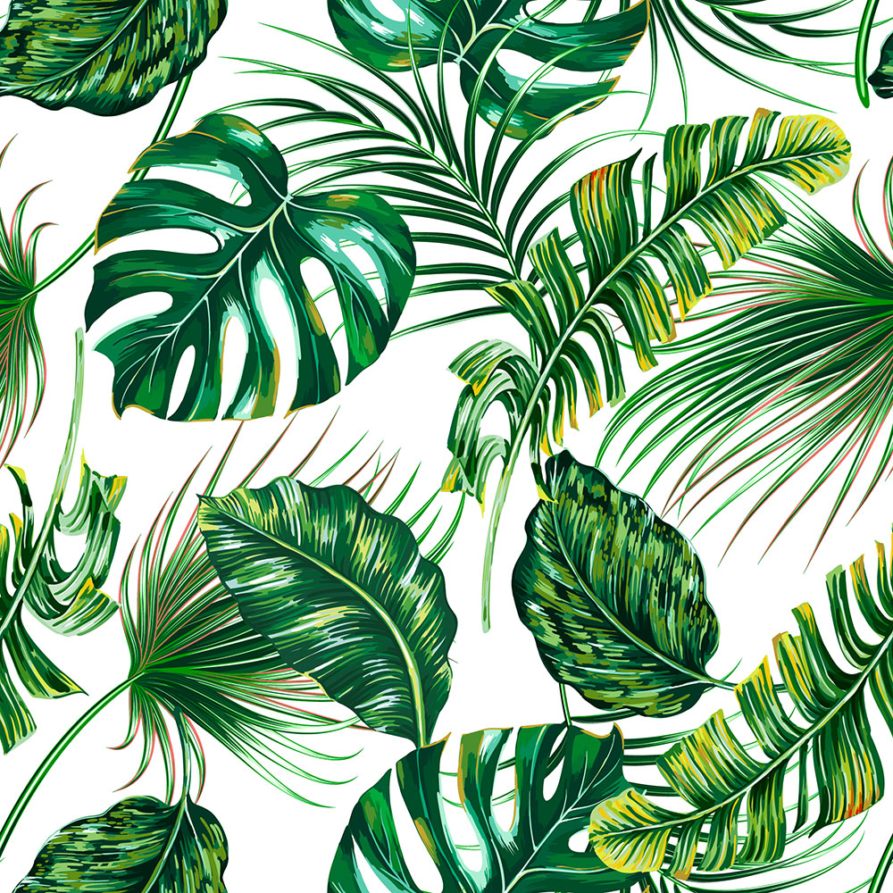 Постер «Тропических пальмовых листьев монстера летний фон» 46867 .