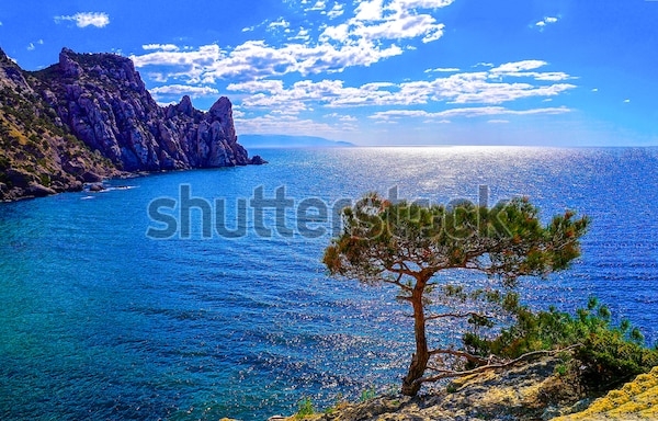 Пейзаж Море Горы Фото