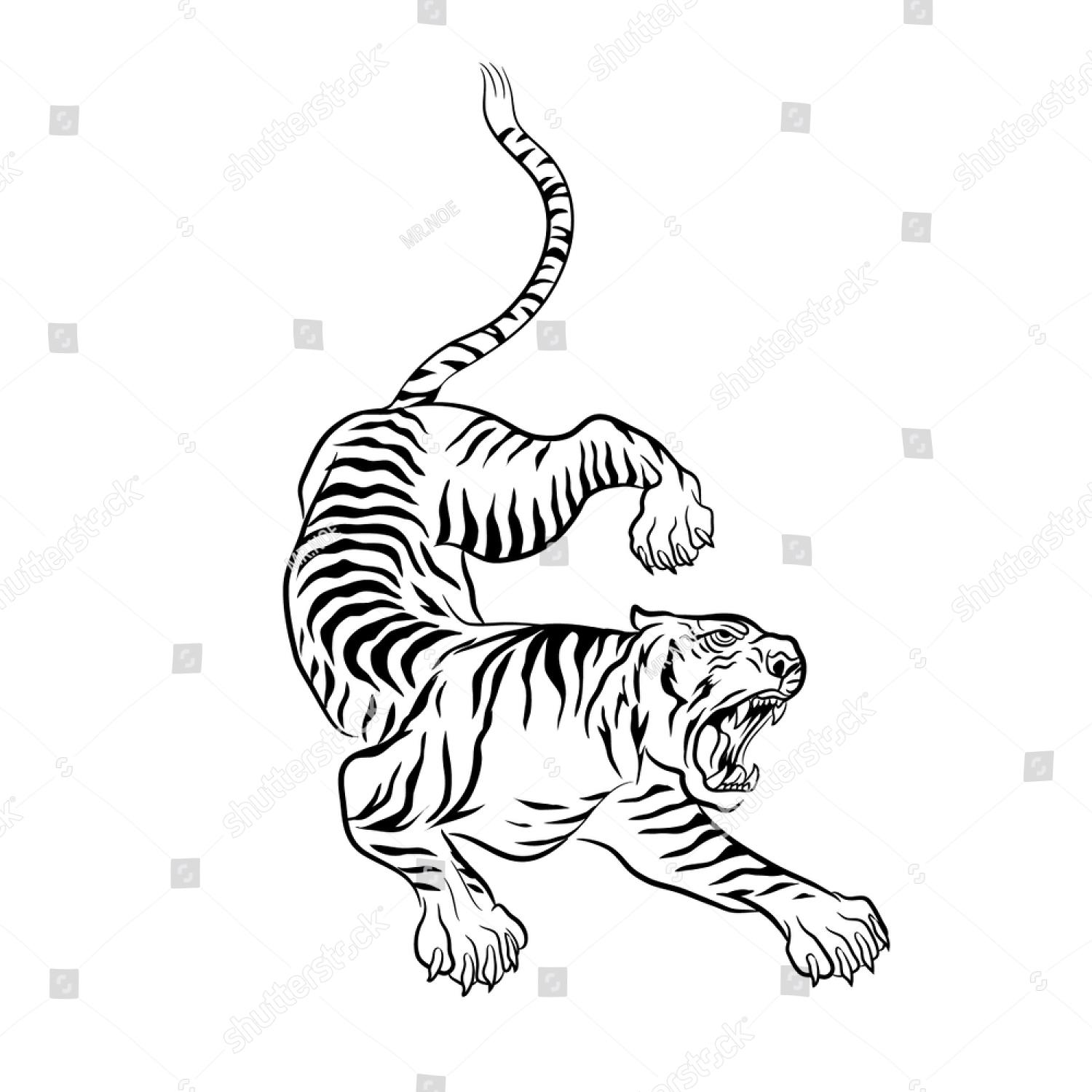 Тигр на задних лапах вектор